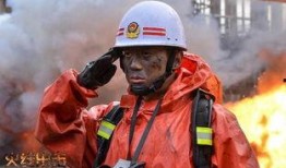 火线出击在线观看,热血警匪激战，在线观看揭秘生死较量